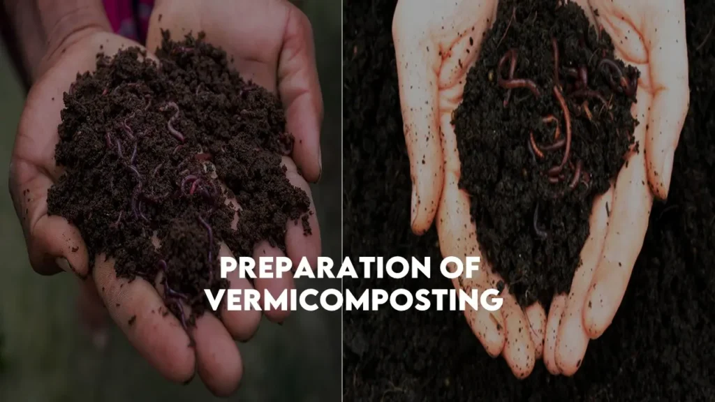 Preparation of vermicomposting: complete guide of vermicompost