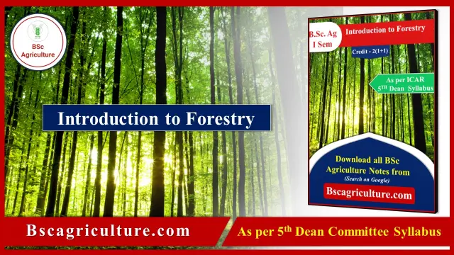 Introduction To forestry notes