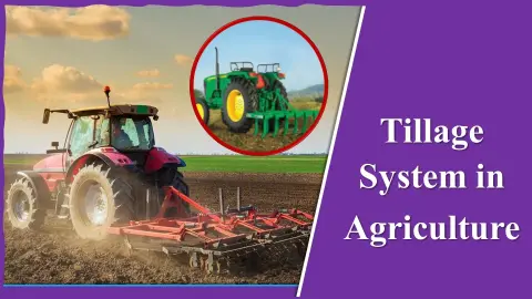 Tillage system in agriculture