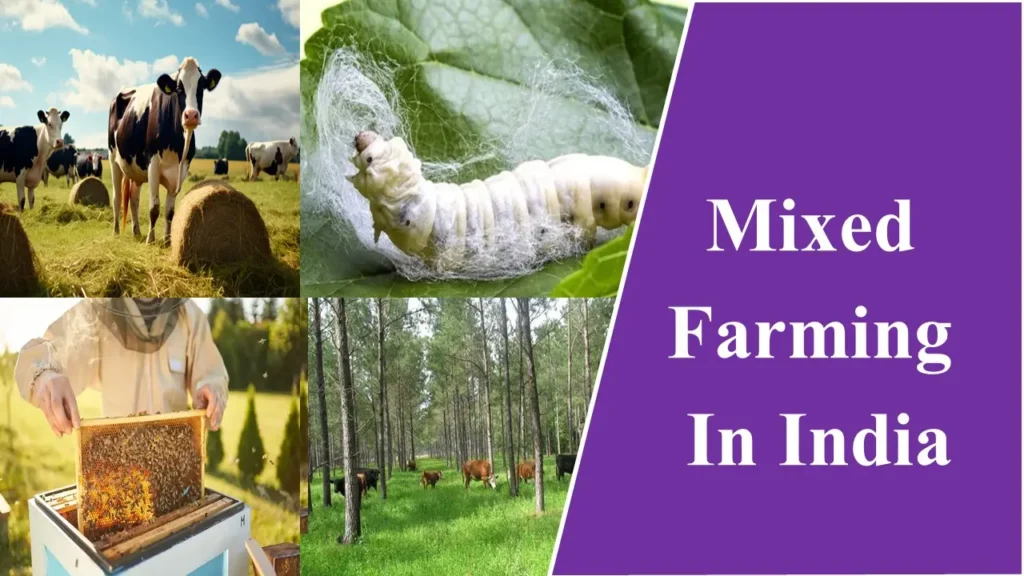 Mixed Farming In India