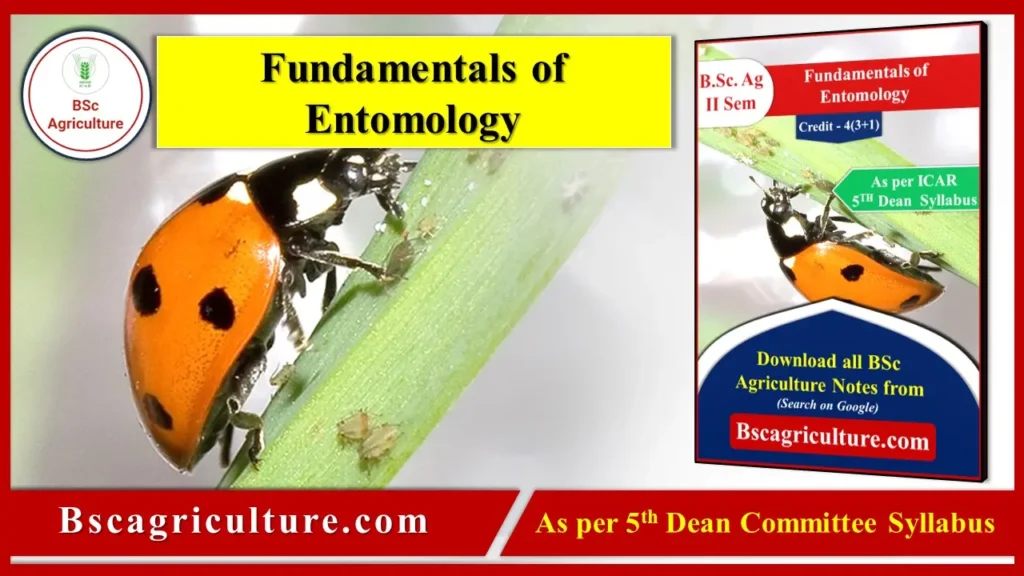 Fundamentals of Entomology notes