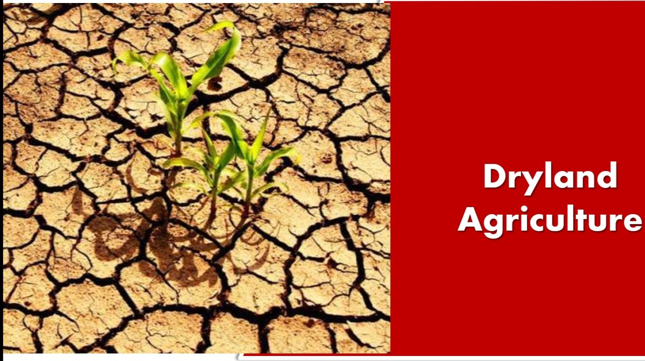 Dryland Agriculture