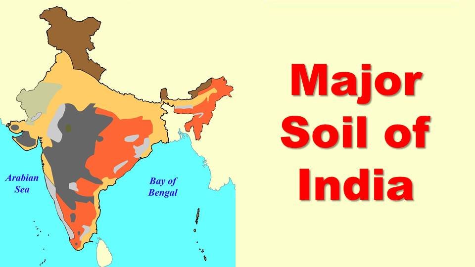 Major Soil of India