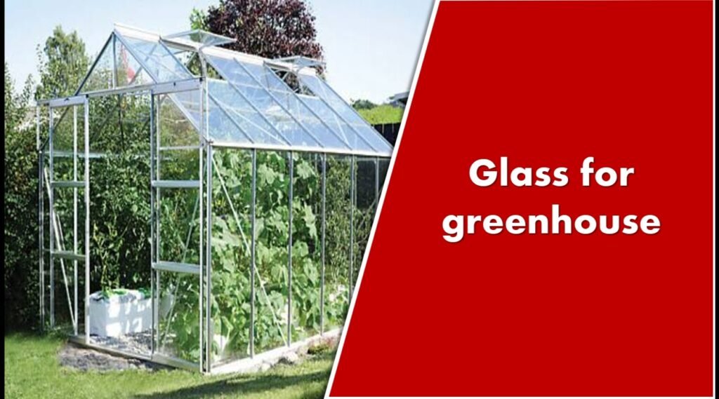 Glass for greenhouse