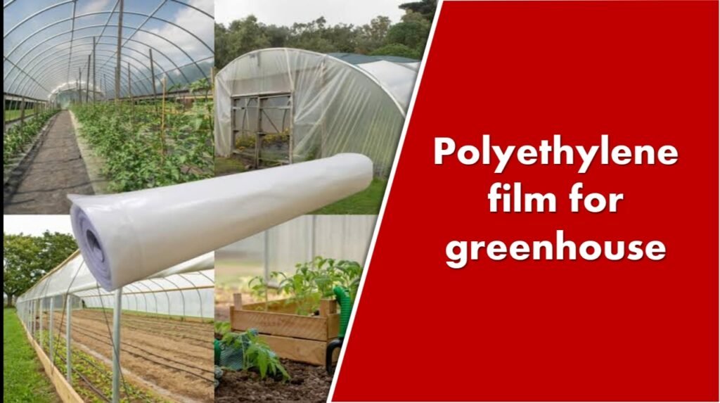 Polyethylene Film for greenhouse